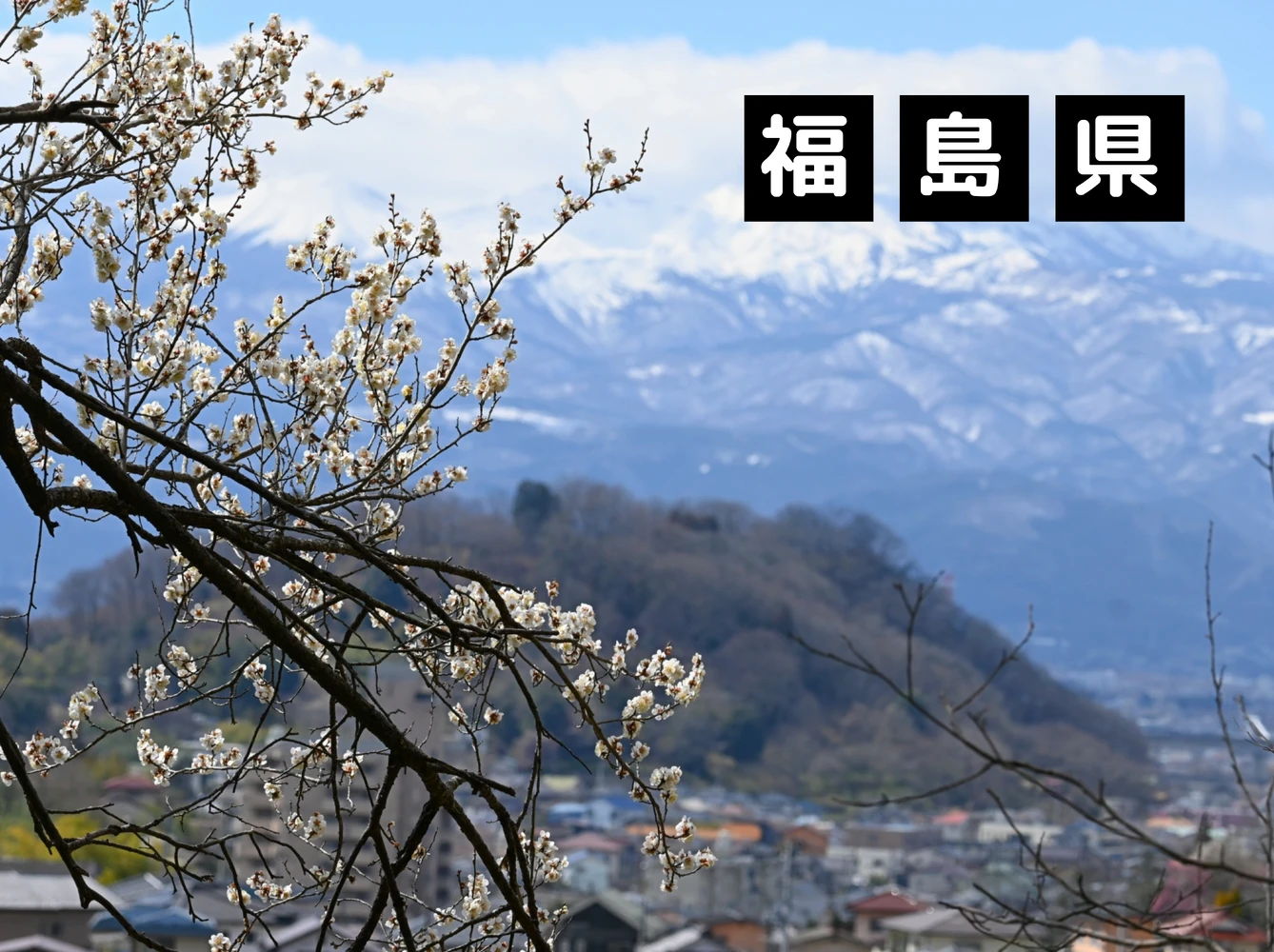 画像3075