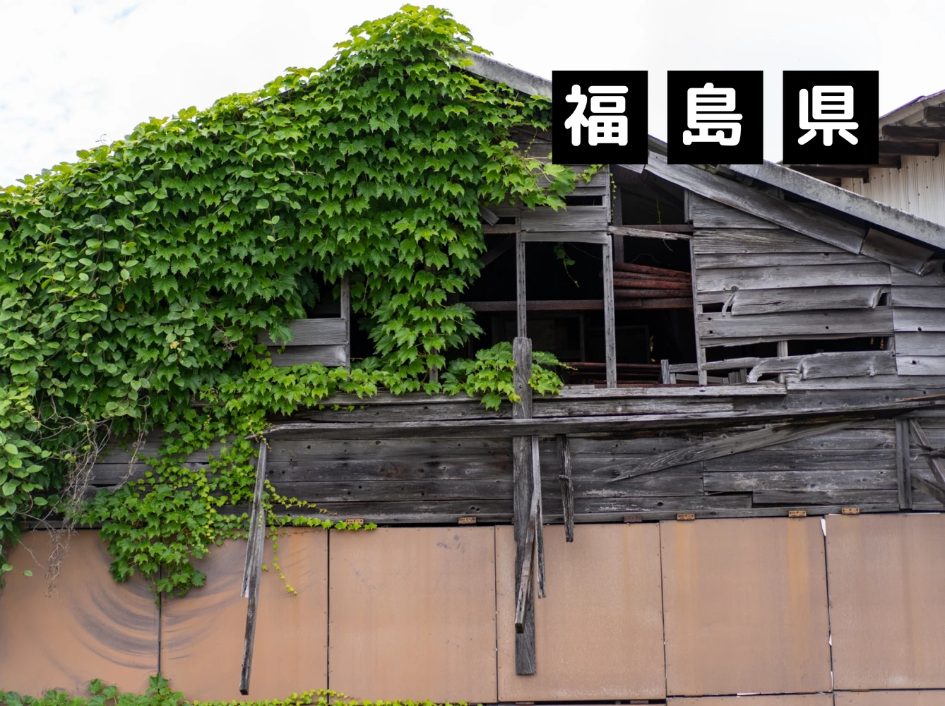 画像3153