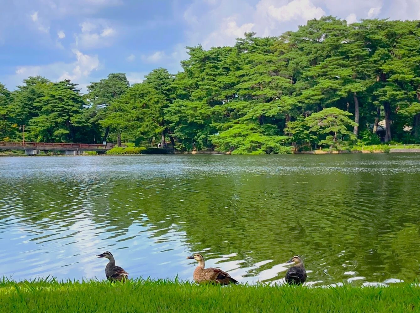 画像3219