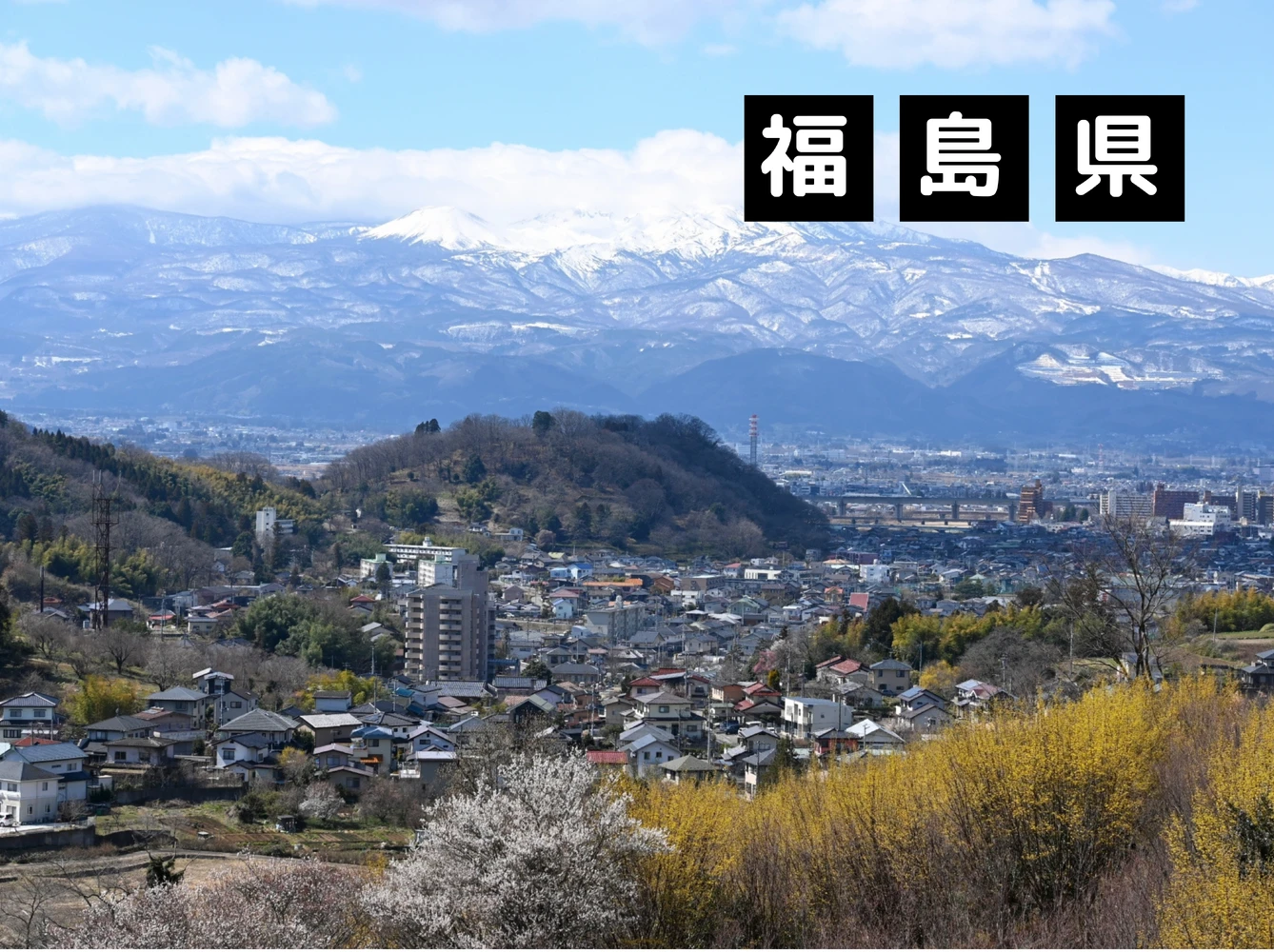 画像3919