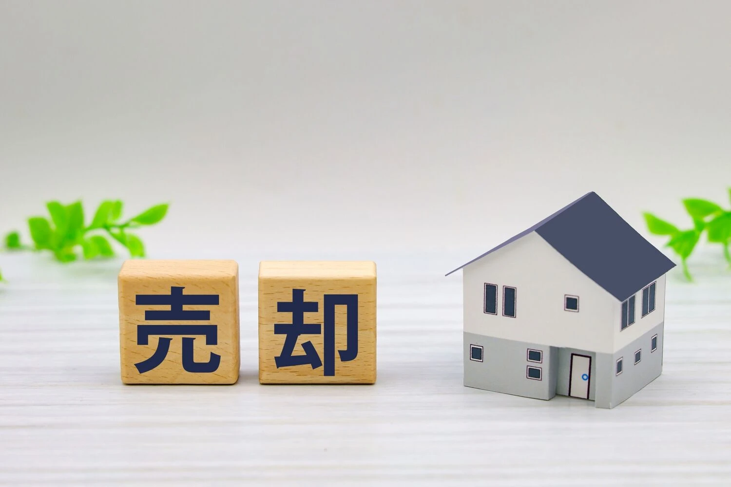 画像4646