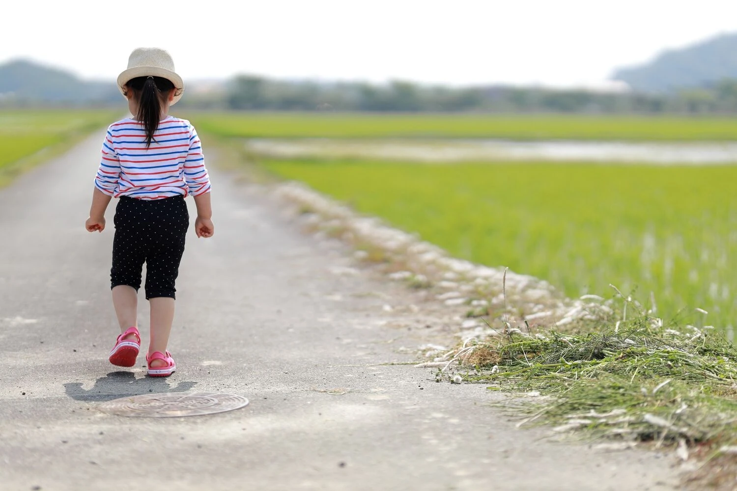 画像5297