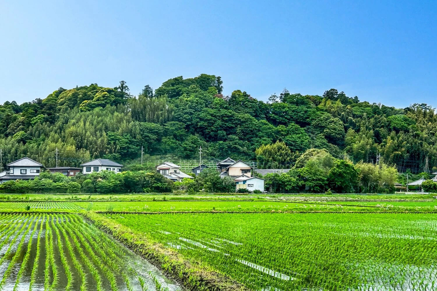 画像6011